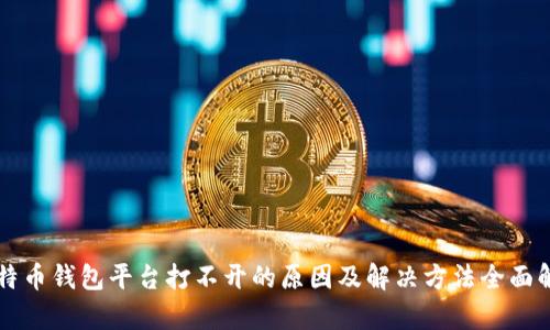 比特币钱包平台打不开的原因及解决方法全面解析