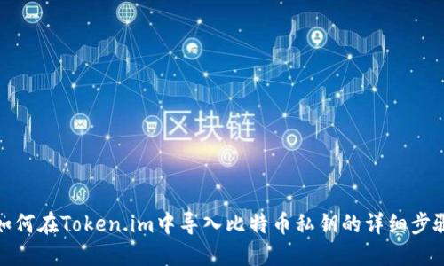 如何在Token.im中导入比特币私钥的详细步骤