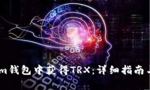 如何在Token.im钱包中获得TRX：详细指南与常见问题解答