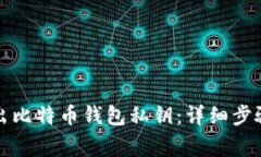 如何安全导出比特币钱包