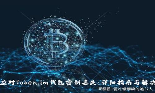 ```
如何应对Token.im钱包密钥丢失：详细指南与解决方案