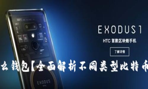存比特币用什么钱包？全面解析不同类型比特币钱包的优缺点