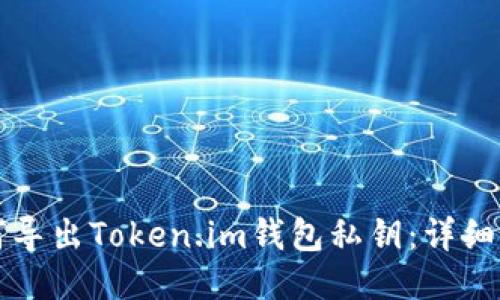 如何导出Token.im钱包私钥：详细指南