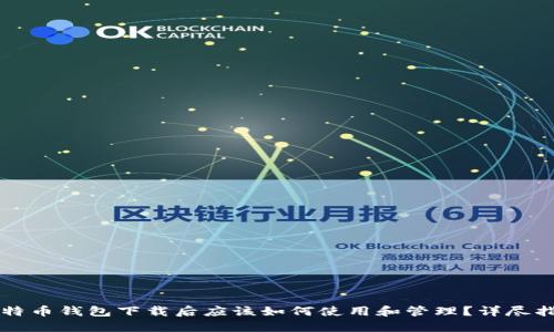 比特币钱包下载后应该如何使用和管理？详尽指南