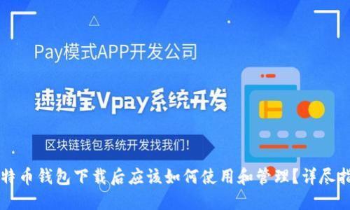 比特币钱包下载后应该如何使用和管理？详尽指南