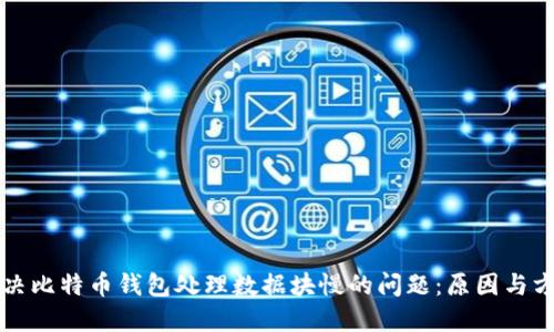 解决比特币钱包处理数据块慢的问题：原因与方案