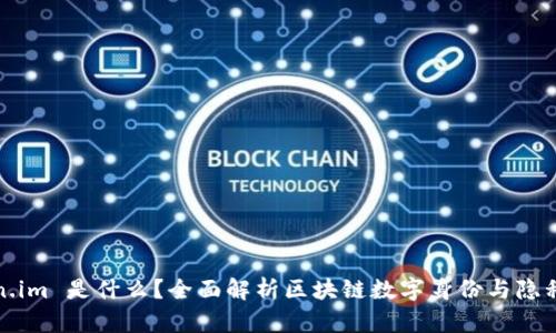 token.im 是什么？全面解析区块链数字身份与隐私保护