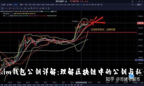 Token.im钱包公钥详解：理解区块链中的公钥与私钥关系