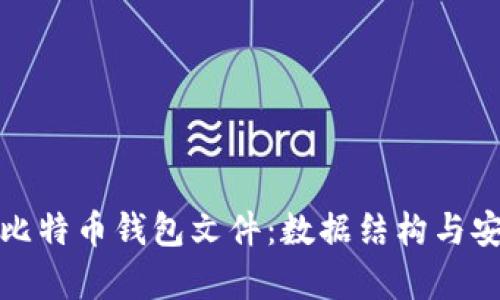 深入分析比特币钱包文件：数据结构与安全性探讨