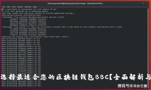如何选择最适合您的区块链钱包BBC？全面解析与指南
