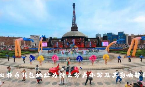 比特币钱包地址为什么分大小写及其影响解析