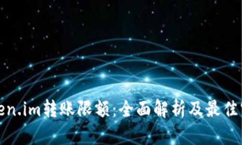 Token.im转账限额：全面解析及最佳实践