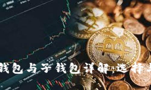 区块链主钱包与子钱包详解：选择与使用指南