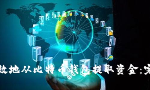 如何有效地从比特币钱包提取资金：完整指南