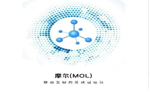 如何解决Token.im导入钱包后资产清零的问题