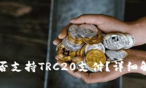 以太坊钱包是否支持TRC20支付？详细解读与用户指南
