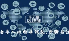 如何安全导入比特币钱包