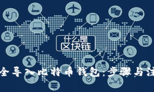 如何安全导入比特币钱包：步骤与注意事项