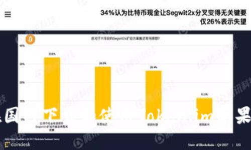 如何在国内下载和使用Token.im苹果版应用