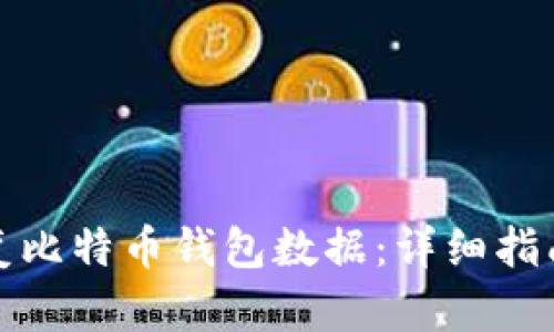 如何有效恢复比特币钱包数据：详细指南与实用技巧