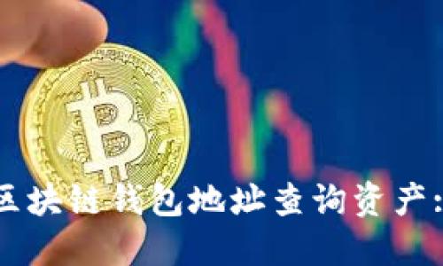 如何通过区块链钱包地址查询资产: 完整指南