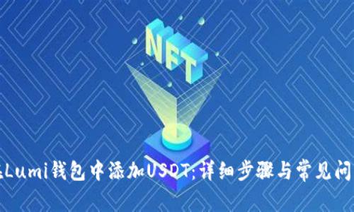 如何在Lumi钱包中添加USDT：详细步骤与常见问题解答