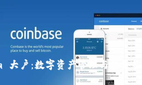 Token.im 大户：数字资产管理与投资策略全解析