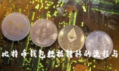 全面解析比特币钱包数据