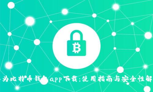 华为比特币钱包app下载：使用指南与安全性解析