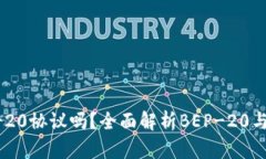 Token.im支持BEP-20协议吗？全面解析BEP-20与Token.im的