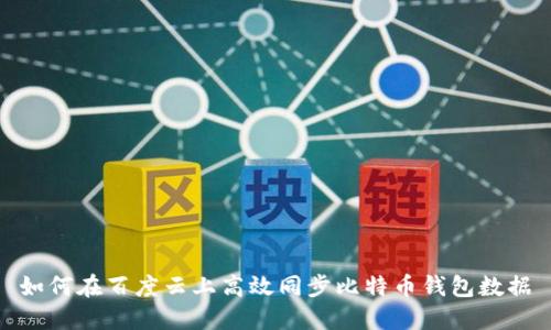 如何在百度云上高效同步比特币钱包数据