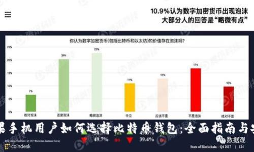 国内苹果手机用户如何选择比特币钱包：全面指南与安全策略