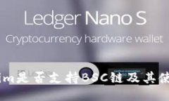 Token.im是否支持BSC链及其使用指南