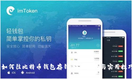 :如何往比特币钱包存钱：详细指南与实用技巧