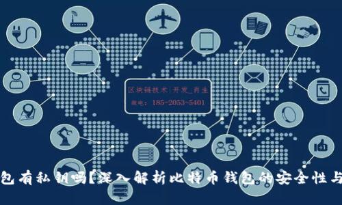 比特币钱包有私钥吗？深入解析比特币钱包的安全性与私钥管理