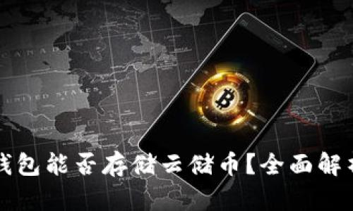 比特币钱包能否存储云储币？全面解析与指南