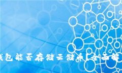 比特币钱包能否存储云储