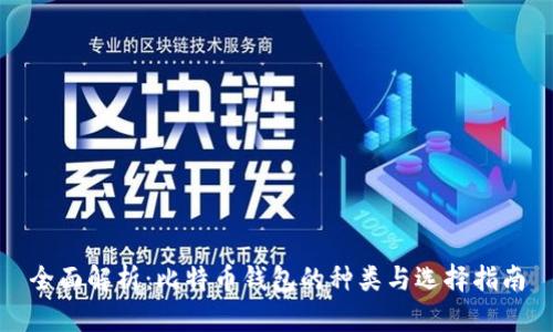 全面解析：比特币钱包的种类与选择指南