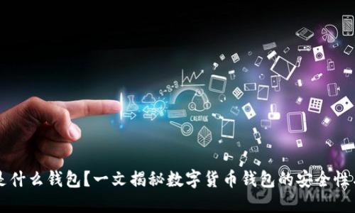 Token.im是什么钱包？一文揭秘数字货币钱包的安全性与使用技巧
