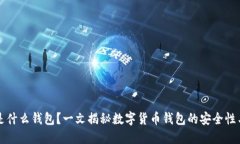 Token.im是什么钱包？一文揭