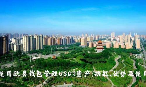 如何使用欧易钱包管理USDT资产：功能、优势及使用指南