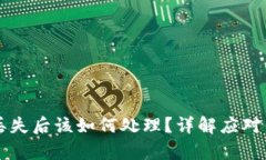 区块链冷钱包丢失后该如何处理？详解应对策略