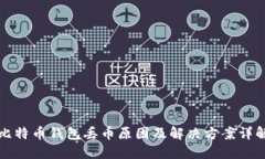 比特币钱包丢币原因及解