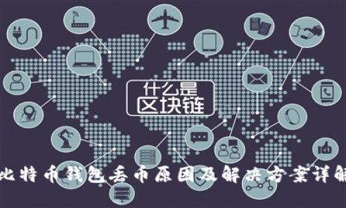 比特币钱包丢币原因及解决方案详解