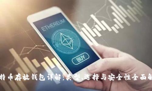比特币存放钱包详解：类型、选择与安全性全面解析
