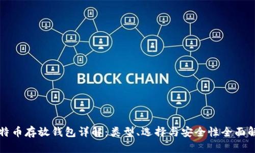 比特币存放钱包详解：类型、选择与安全性全面解析