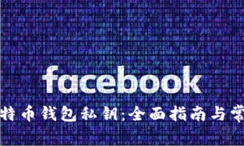 如何找回比特币钱包私钥：全面指南与常见问题解答