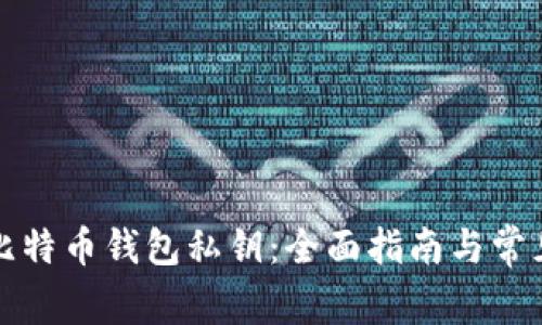 如何找回比特币钱包私钥：全面指南与常见问题解答
