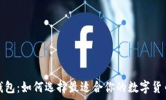   墨西哥虚拟币钱包：如何选择最适合你的数字货