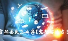 区块链钱包密码丢失怎么办？完整解决方案与预